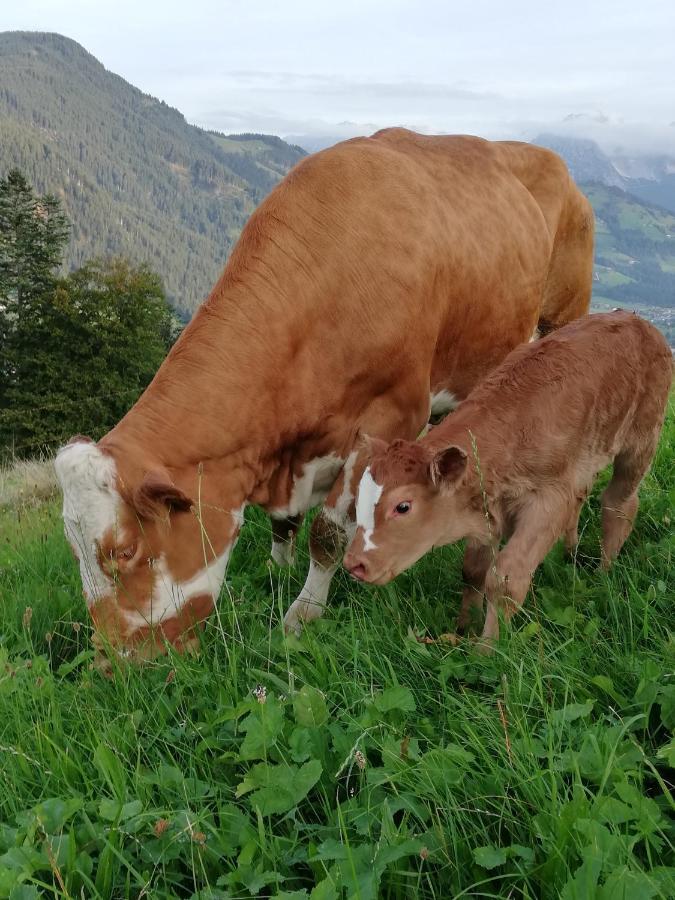 Hahnenkammblick Βίλα Κίτσμπουελ Εξωτερικό φωτογραφία
